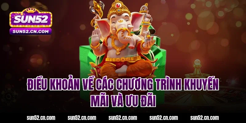 Điều khoản về các chương trình khuyến mãi và ưu đãi